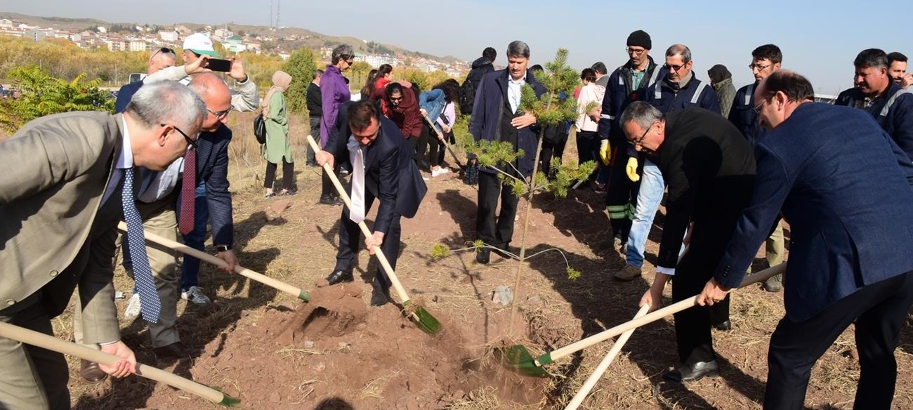 Üniversitemizde Fidanlar Toprakla Buluştu