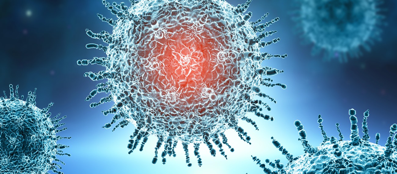 Türkiye'de COVID-19 Pandemisinde Gebelerin Deneyimleri: Nitel Bir Araştırma