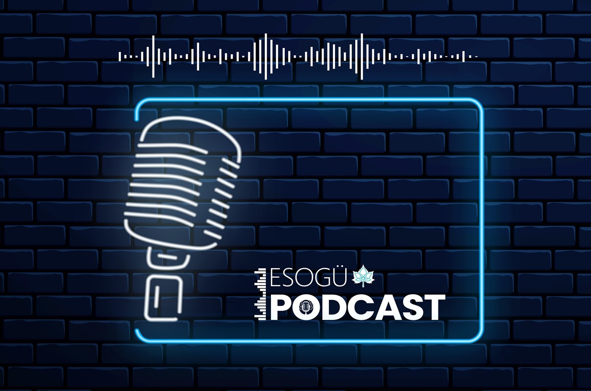 Yerli Tohumculuk Faaliyetleri