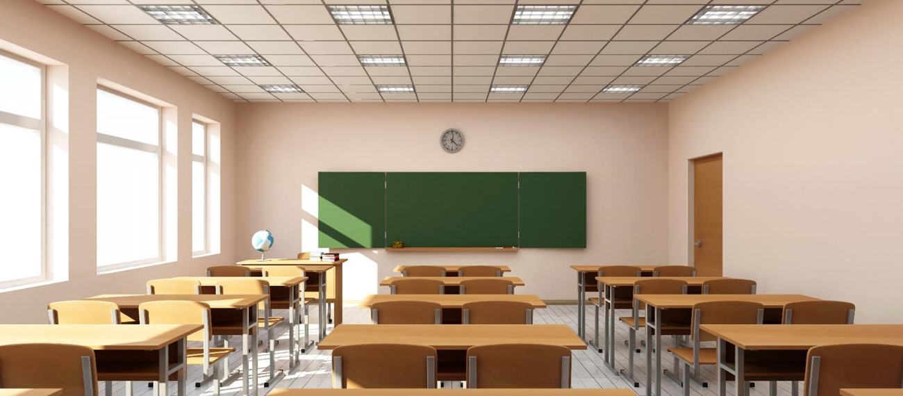 Eğitim Kurumlarında Örgütsel İkiyüzlülüğün Nedenleri ve Sonuçları