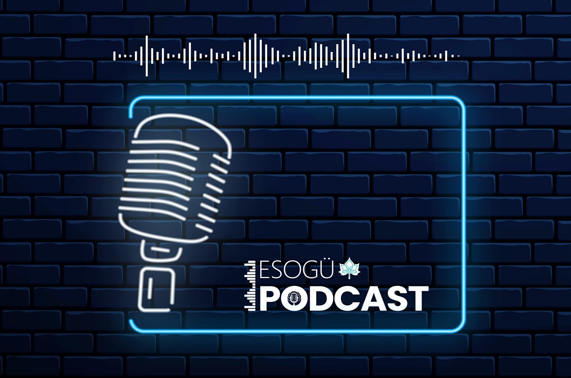 Böcekler Yaşamımızın Orta Yerinde 