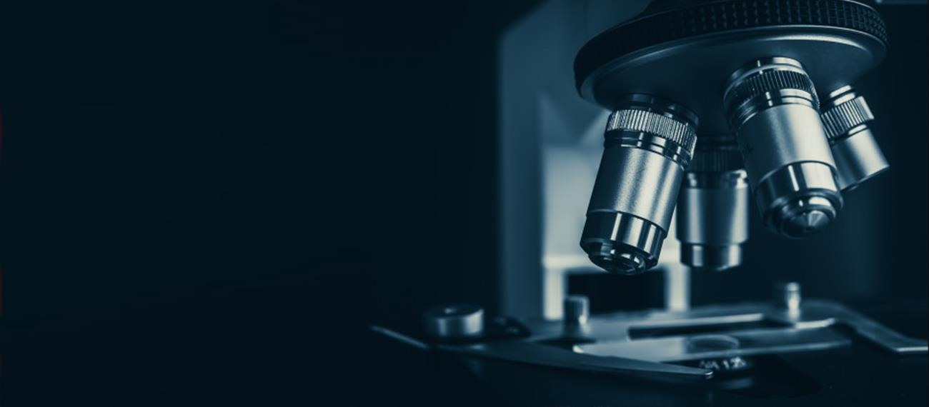 OrthoMTA ve RetroMTA'nın Radyopasite Ölçümü ve Spektroskopik Karakterizasyonu