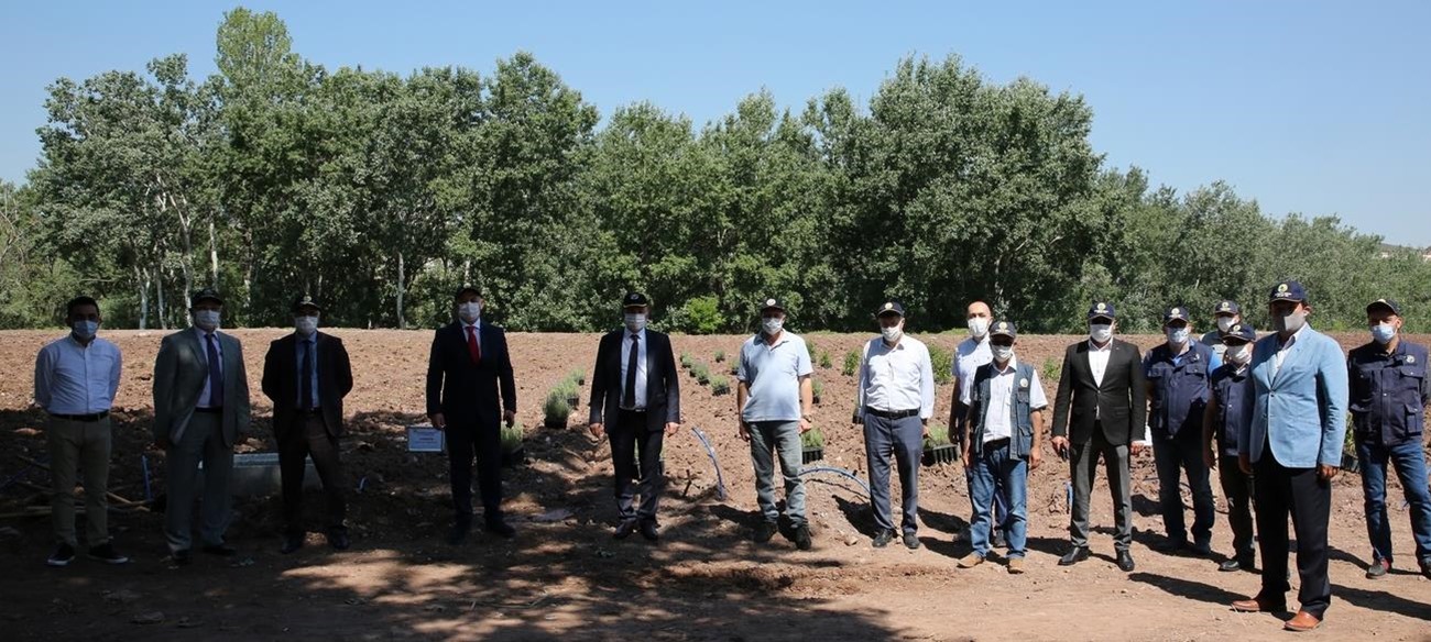 Üniversitemiz Tıbbi ve Aromatik Bitkiler Bahçesi'nde Bitki Dikimi Yapıldı