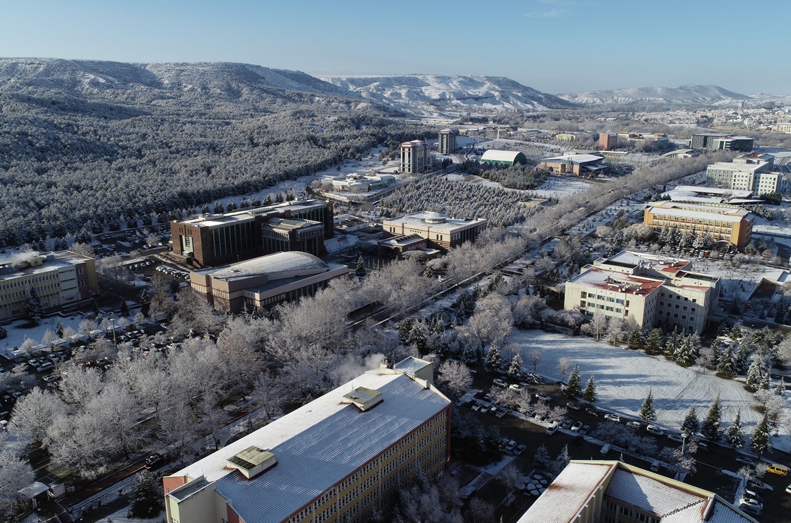 185 Akademisyenimiz En Çok Atıf Alanlar Arasında