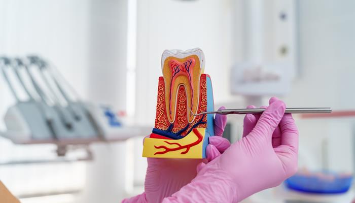 Endodontik Nikel Titanyum Enstrümanlarda Karar Verme Algoritması ve Modeli Geliştirilmesi