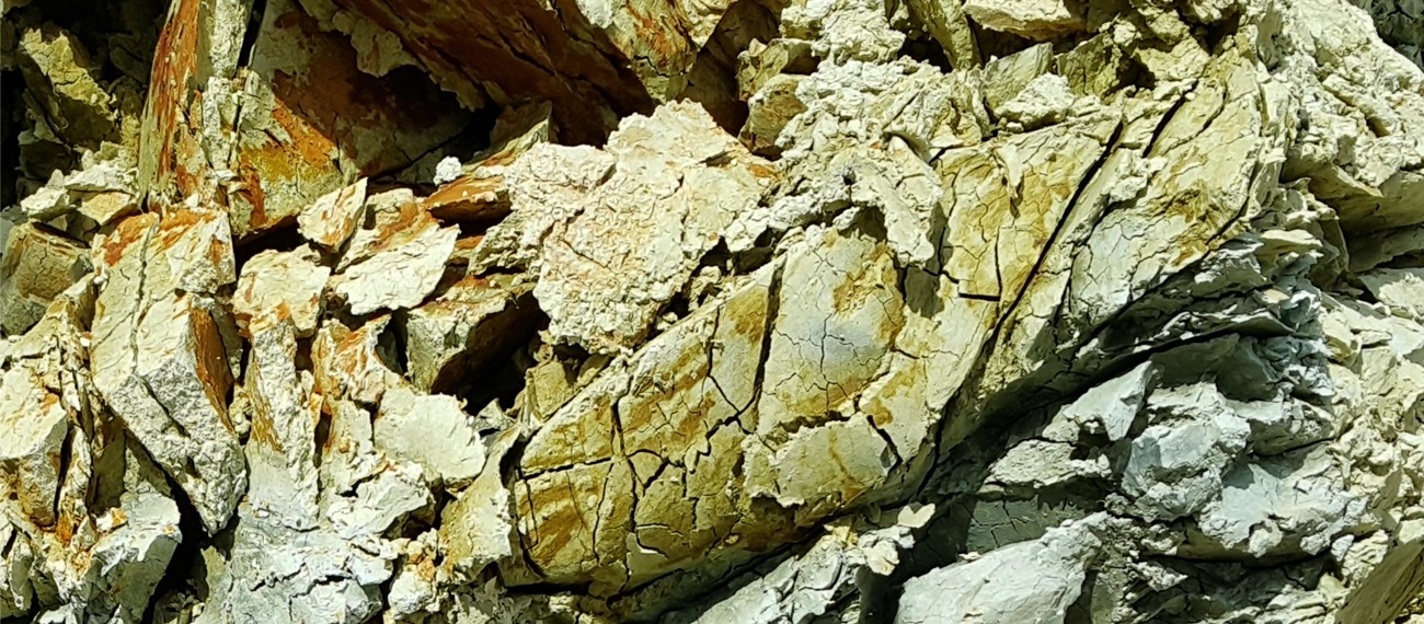 Reşadiye (Tokat) Yöresi Bentonitlerin Oluşumu