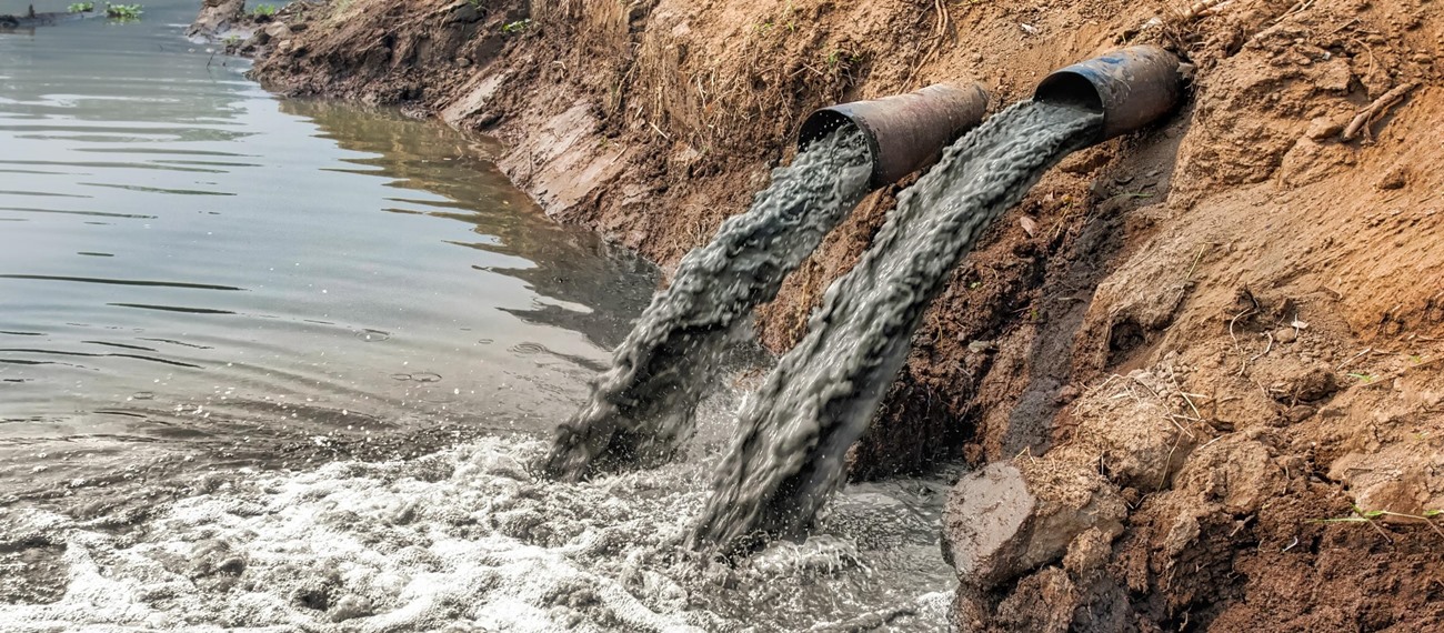 Çevre Dostu Manyetik Biyokompozit Sorbanla Atıksulardan Kurşun İyonlarının Giderimi